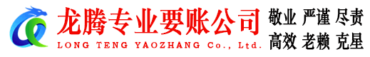 玄武龙腾收债公司